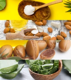 Pre-Swim Hair Defense 16.9 Oz. -Speedos Shop 5678005846184 almondscented 5a