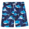 Boys' Shark 2-Pack Swim Trunks (Big Kid)