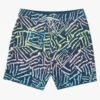 Billabong Men's 19" Sundays Pro Boardshorts