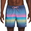 Nike Men's Horizon Stripe Swim Trunks